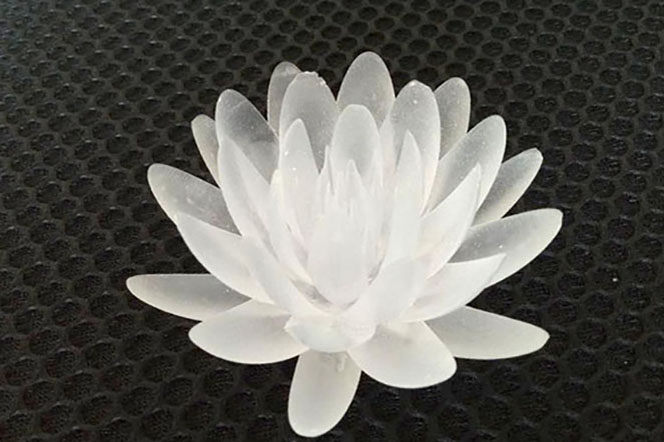 1536289651465805.jpg 主圖.jpg