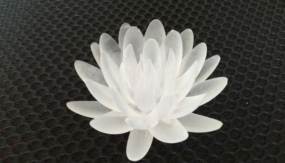 1536289691372001.jpg 圖片1.jpg